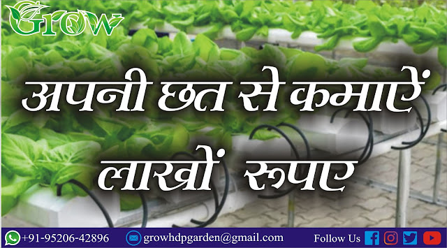 हाइड्रोपोनिक्स, Hydroponics