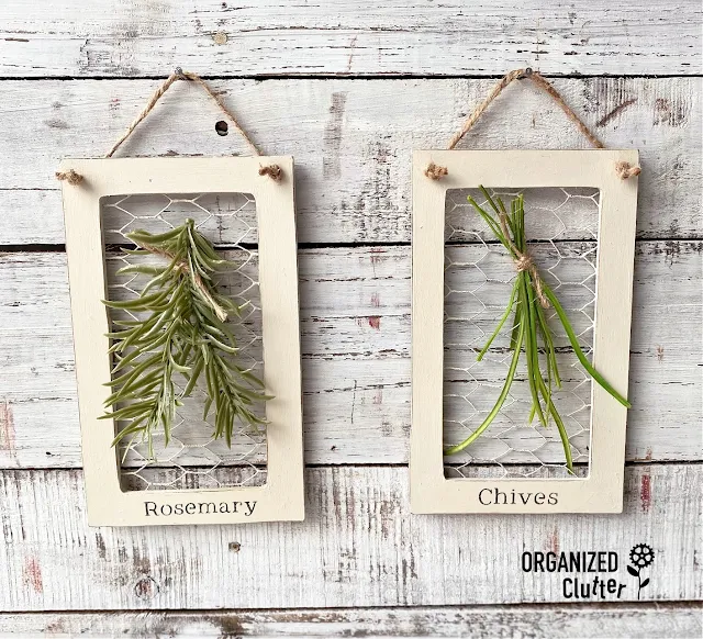 Photo of two framed herb sprigs on chicken wire