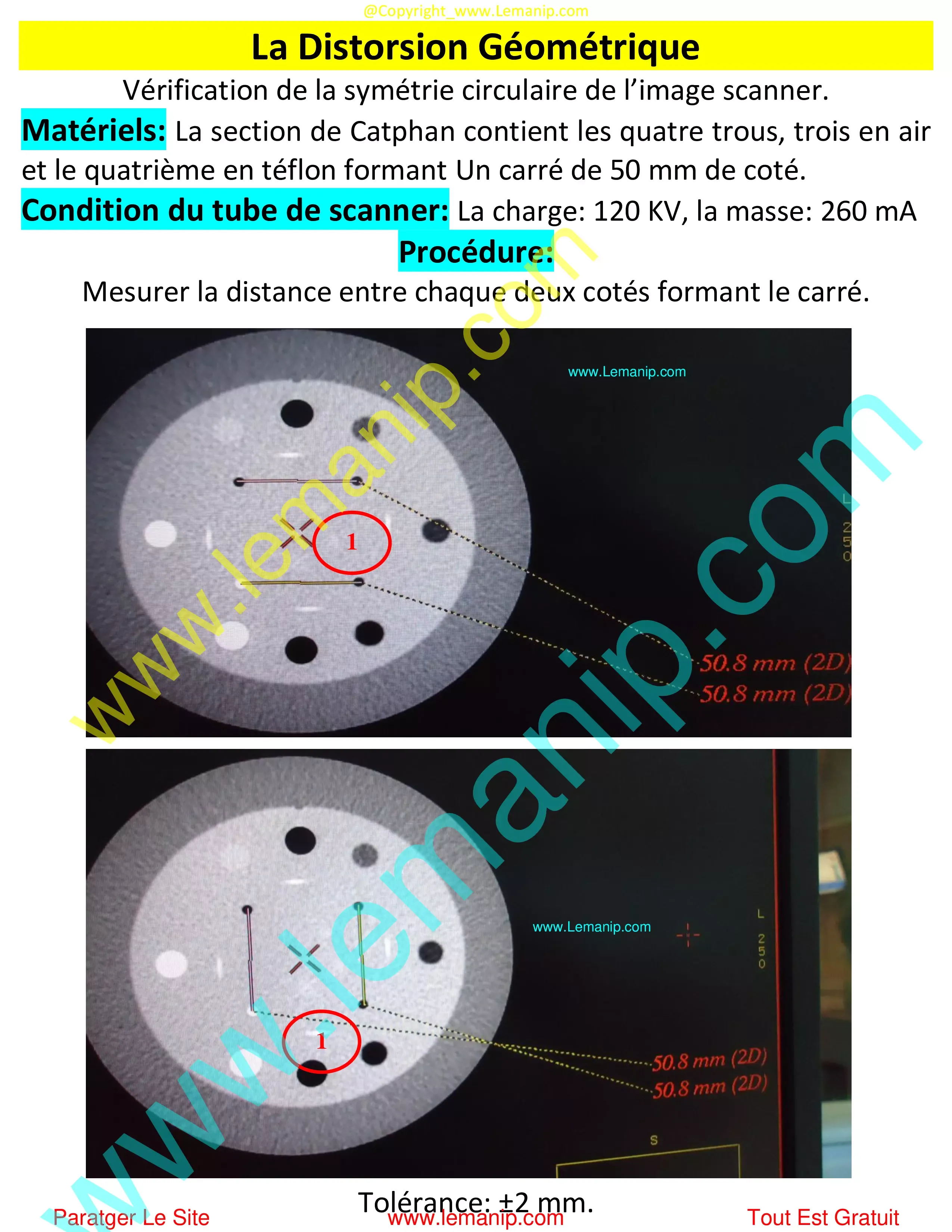 La Distorsion Géométrique