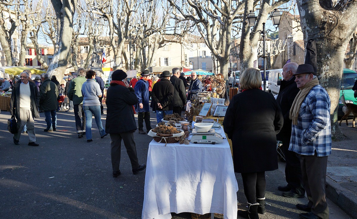 Producer stands at Aups Truffle Festival