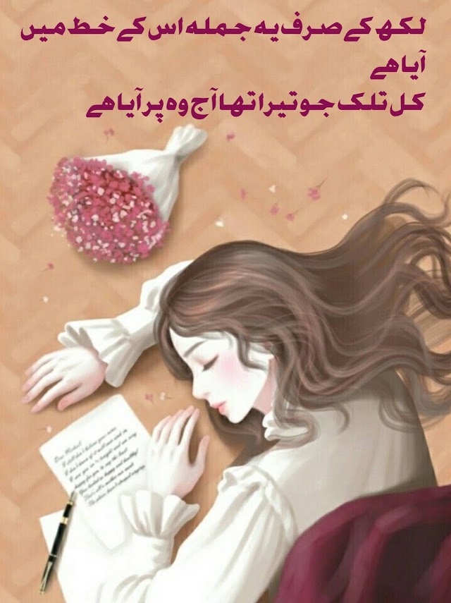 Urdu sad poetry__sad Urdu lines