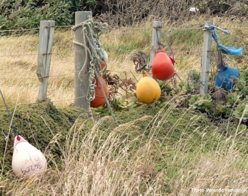 buoy-fence-1