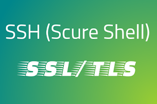 Situs Penyedia Akun SSH, SSL/TLS Premium Gratis.