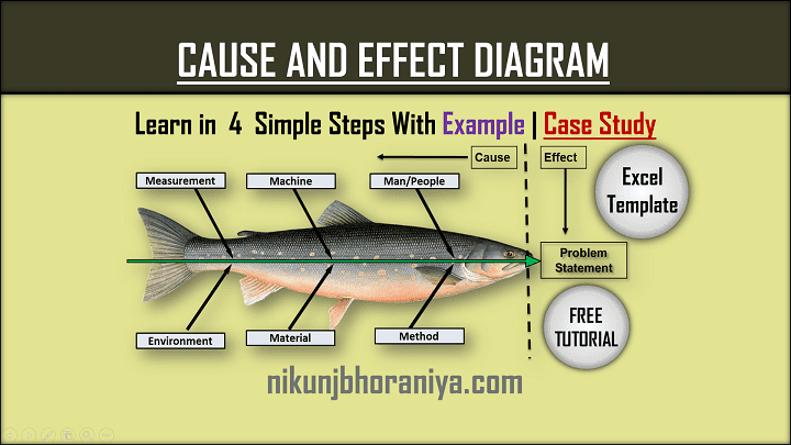 Cause and Effect Diagram