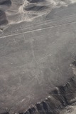 [11.029]_Sobrevoo_Linhas_Nazca_Colibri