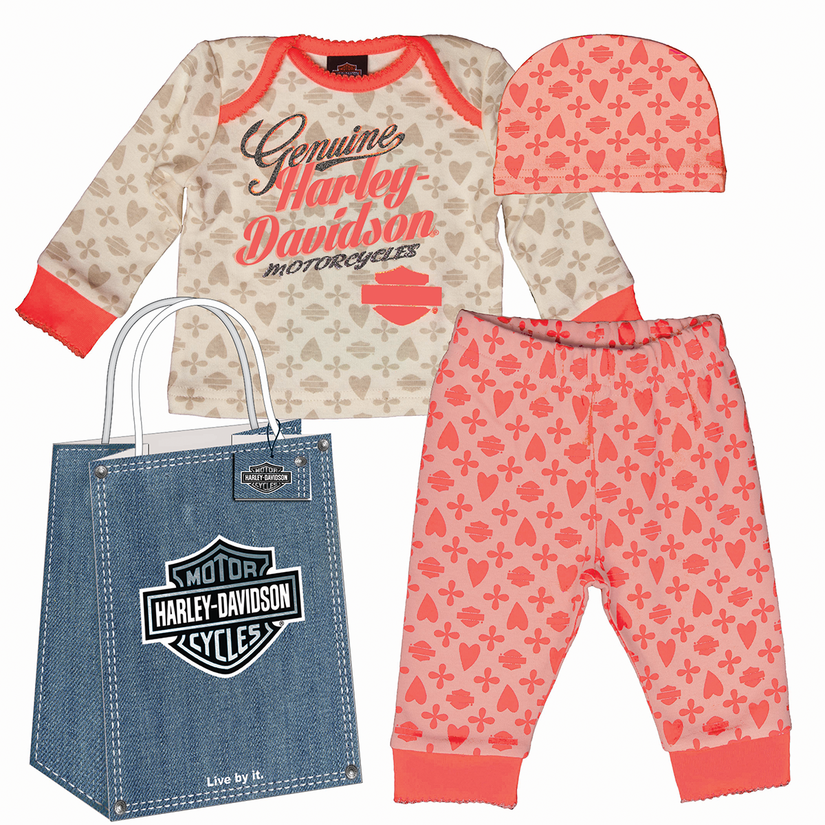 http://www.adventureharley.com/harley-davidson-infant-girls-3-piece-gift-set-shirt-pants-hat-and-gift-bag