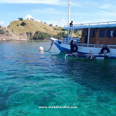 pink beach pulau komodo