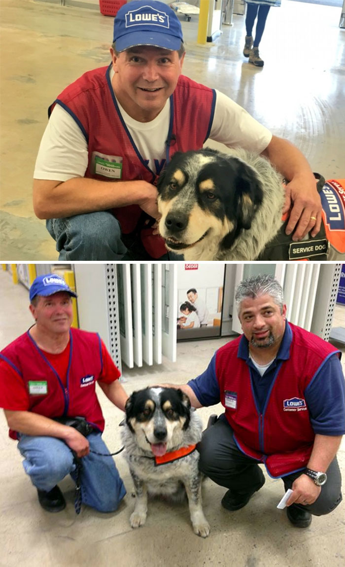 40 Times 2016 Restored Our Faith In Humanity - This Man Couldn’t Get A Job Because Of His Service Dog But This Store Hired Them Both