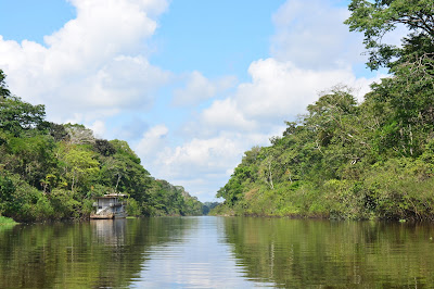 Pacaya Samiria, Reserva Nacional Pacaya Samiria, como llegar a Pacaya Samiria, Clima en Pacaya Samiria