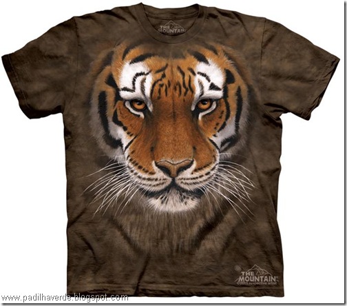 camisetas de Montain-14