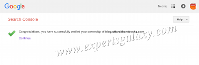 Google Search Domain Verified Confirmation
