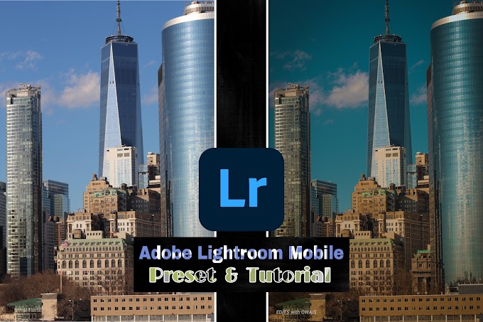 ADOBE LIGHTROOM MOBILE PRESET 