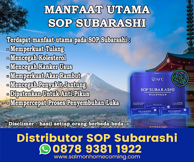 SOP Subarashi Untuk Kolesterol