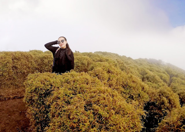 Rizza Salas x Mt. Pulag Sea of Clouds