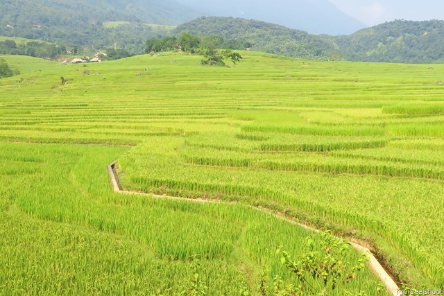 Hiking in PU Luong, near Kho Muong village