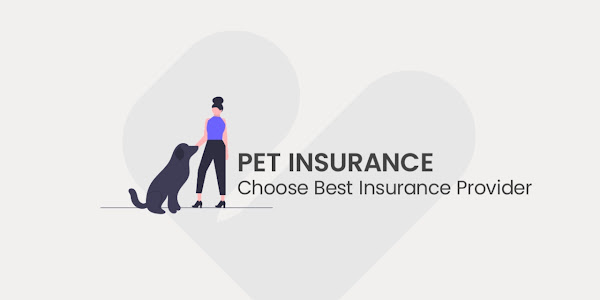 7 Best Pet Insurance Providers To Consider In 2023