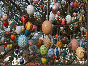 image (4)