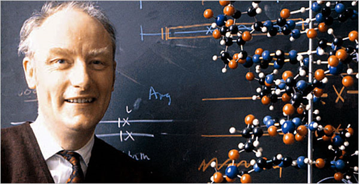 Francis Harry Compton Crick, OM, FRS (8 de junio de 1916-28 de julio de 2004). Fue un físico, biólogo molecular y neurocientífico británico, conocido sobre todo por ser uno de los cuatro descubridores de la estructura molecular del ADN en 1953, junto con James Dewey Watson y Rosalind Franklin.  Recibió, junto a James Dewey Watson y Maurice Wilkins el Premio Nobel de Medicina en 1962 "por sus descubrimientos concernientes a la estructura molecular de los ácidos desoxirribonucleicos (ADN) y su importancia para la transferencia de información en la materia viva".