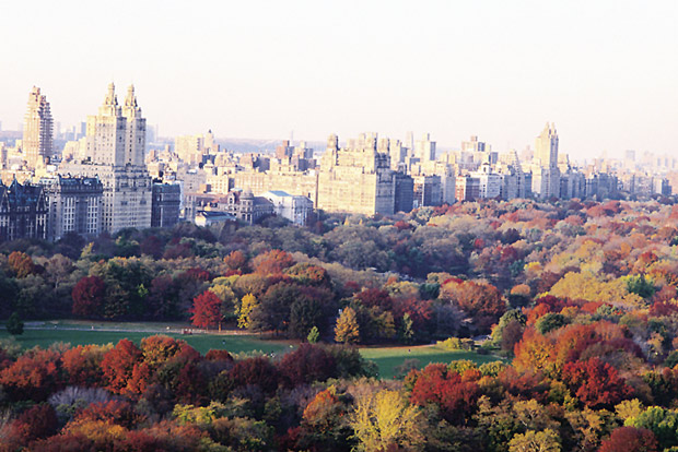 central park new york summer. It#39;s Fall in New York City and