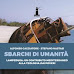 Agrigento, il 3 dicembre presentazione del libro “SBARCHI DI UMANITÀ. Lampedusa: un contributo mediterraneo alla teologia dai poveri”