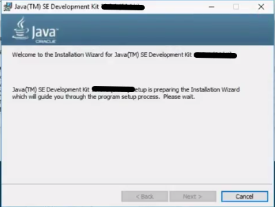 Java Runtime Environment currently very new version Java Runtime Environment 10.0.1 (32-bit / 64-bit) For Windows