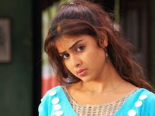 Genelia D Souza Hd Wallpapers