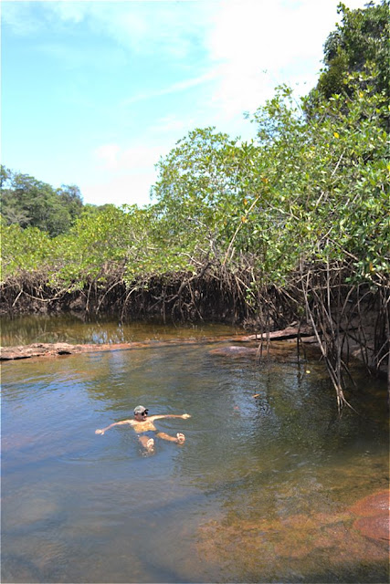 Guyane, Montsinery, crique patate