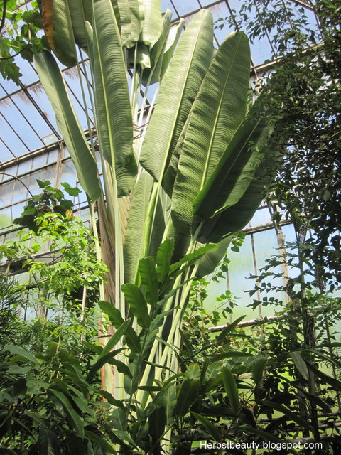 Botanischer Garten Karlsruhe KIT