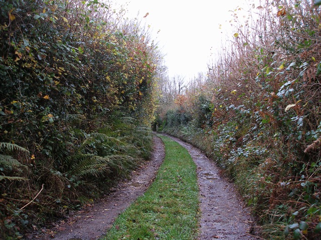24th_november_2009