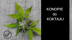 https://zielonekoktajle.blogspot.com/2018/11/konopie-idealny-skadnik-koktajli-zobacz.html