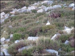 PA191096
