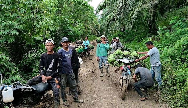 Jalan Rusak Parah, Petani Kesulitan Angkut Hasil Panen