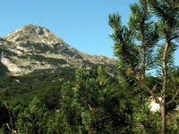 Bogatin v daljavi