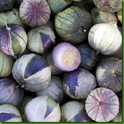 Tomatillo Purple de Milpa Tomatillo Purple de Milpa