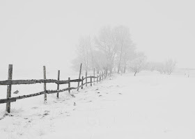 snow covered ground