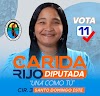 Profesora y dirigente comunitaria Carida Rijo, a un paso de ser Diputada en Santo Domingo Este.