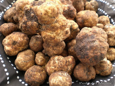 White truffle recipes