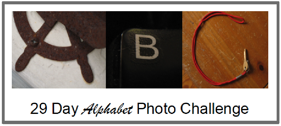 Alphabet Photography Challenge 29 Day Alphabet Photography Challenge: X