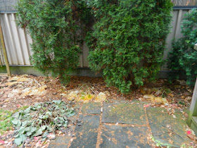 Oakwood Vaughan Toronto Backyard Fall Cleanup Before by Paul Jung Gardening Services--a Toronto Gardening Services Company