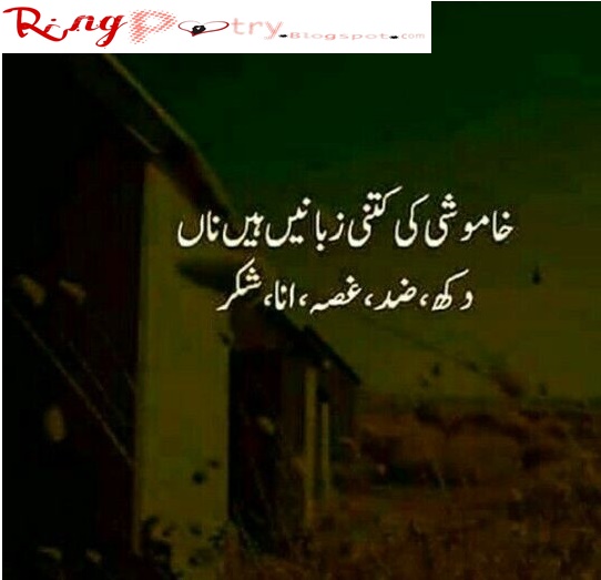 urdu poetry,sad urdu poetry,sad poetry in urdu,sad poetry,best poetry,urdu love romantic sad poetry,urdu sad poetry,best urdu poetry collections,poetry,urdu poetry sad love,sad urdu poetry collection,love poetry,urdu,best urdu 2 line poetry,top sad poetry,very sad poetry,2 line urdu poetry,2line urdu poetry,urdu poetry point,poetry in urdu sad,urdu poetry status,new love urdu poetry