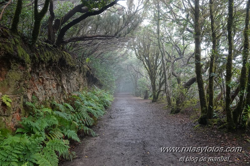 Sendero de los Sentidos - Sendero de los Enigmas