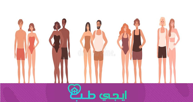 أنواع نوع الجسم عند الرجل والمرأة