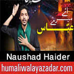 http://www.humaliwalayazadar.com/2017/09/naushad-haider-nohay-2018.html