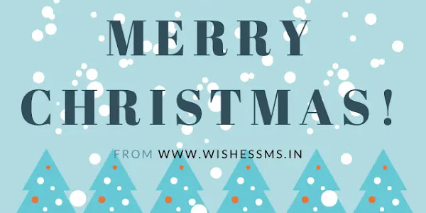 Merry Christmas and happy new year Wishes or Greetings