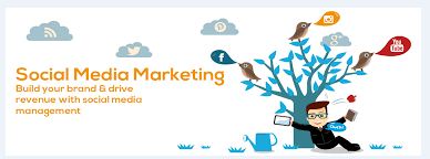 Online digital seo