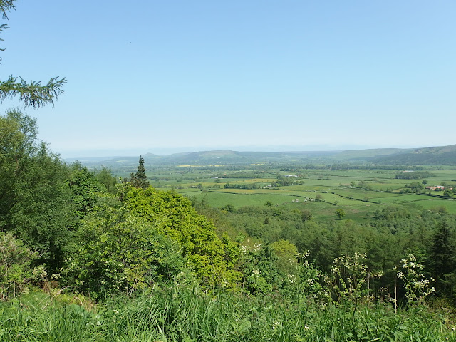 From the viewpoint at the top of Clay Bank