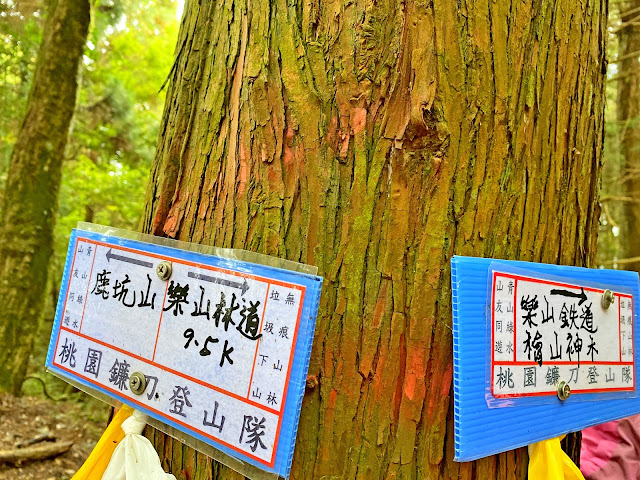 樂山鐵道10K--往鹿坑山