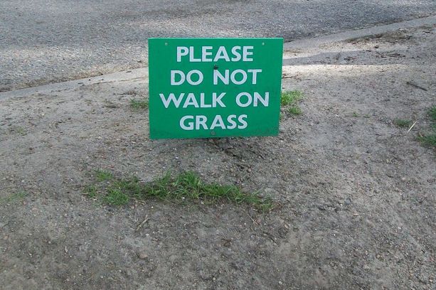 funny signs around world. Funny Signs Around World.