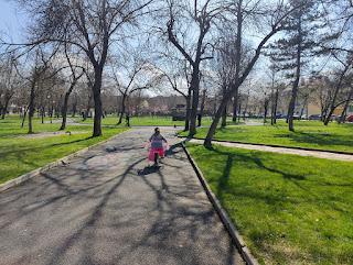 Going for a ride at the park