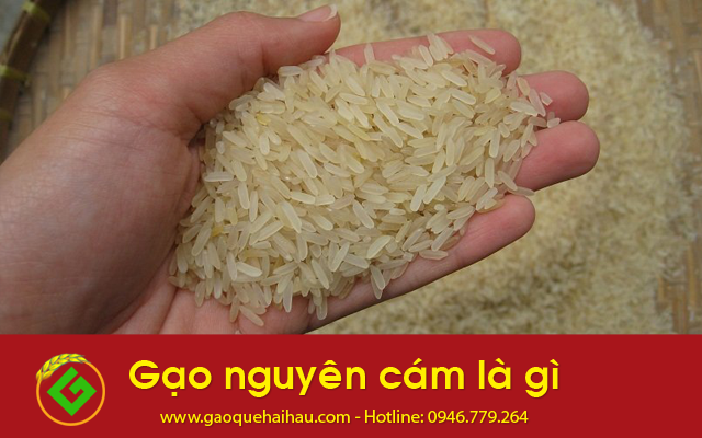 Gạo nguyên cám là gì?